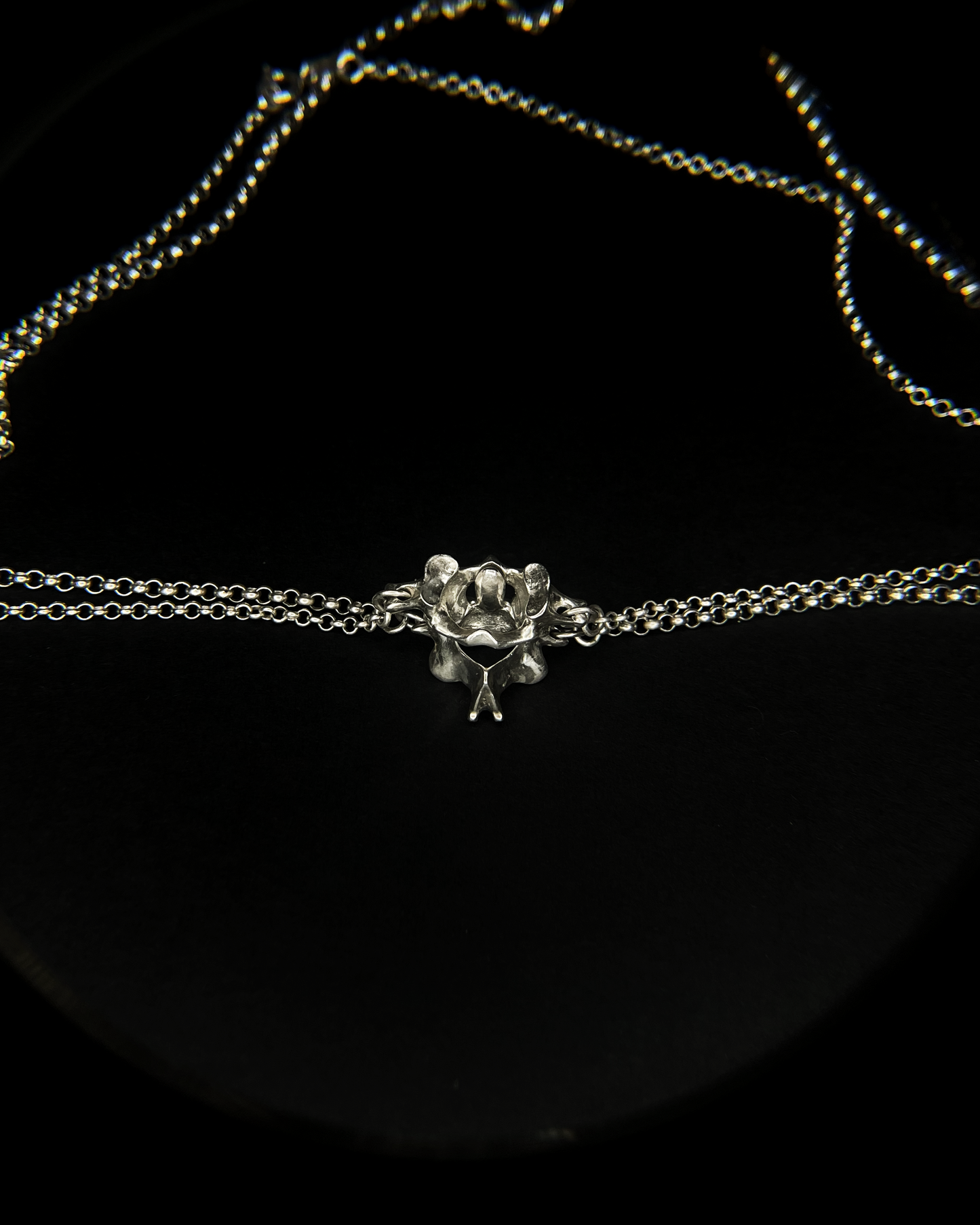 C1 and C2 Necklace