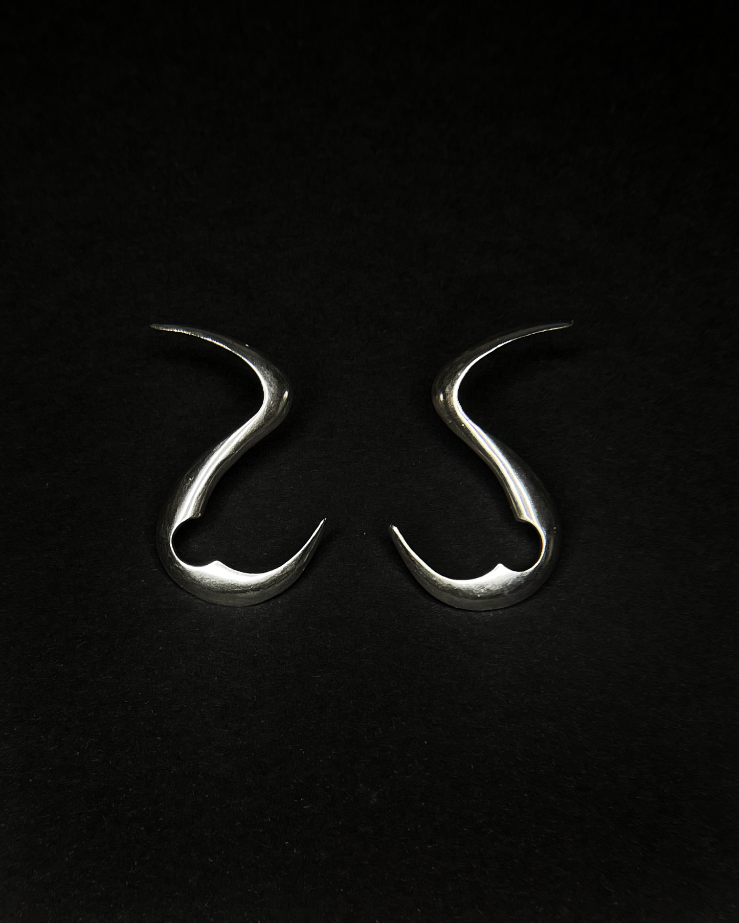 S Earring