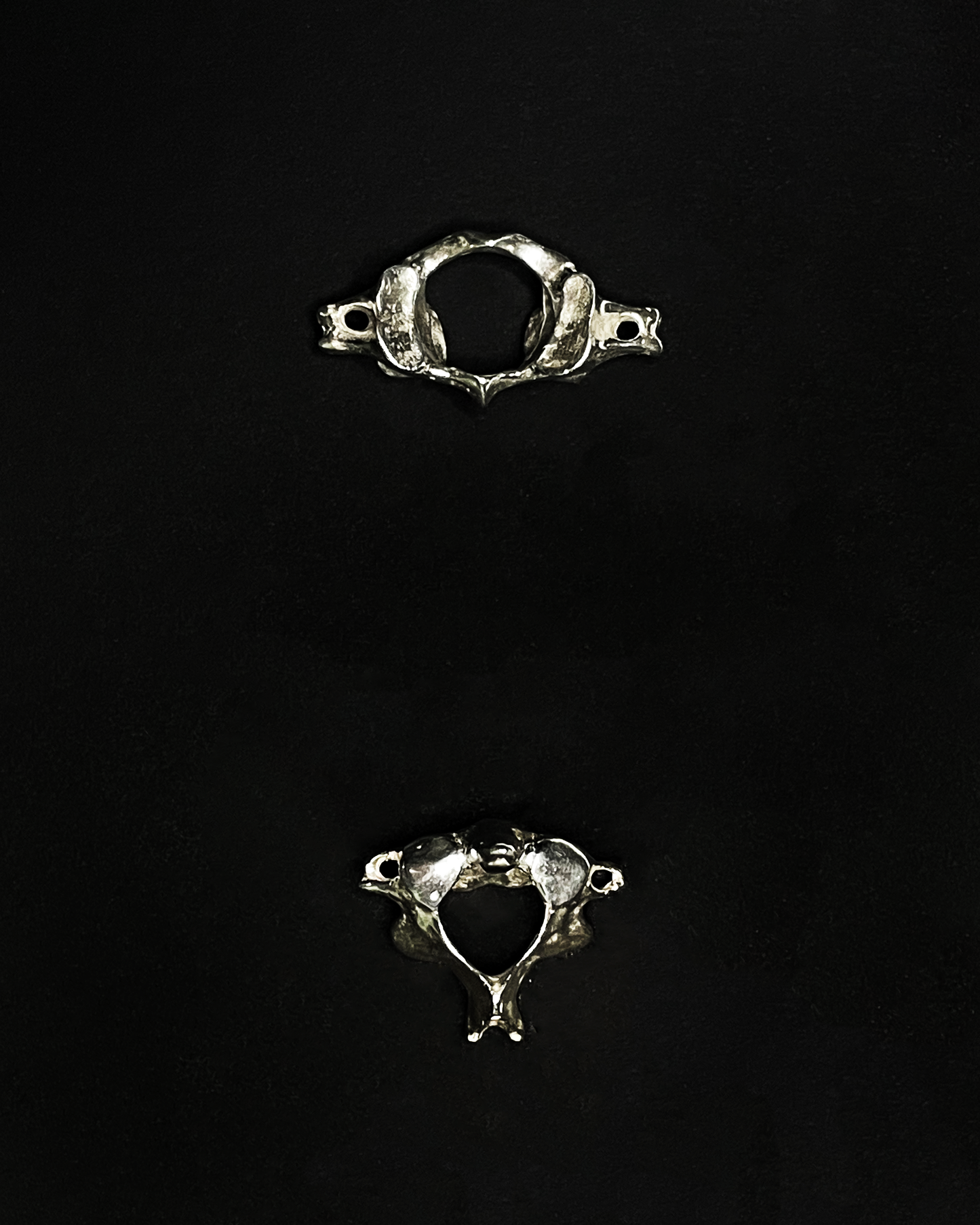 C1 and C2 Earrings