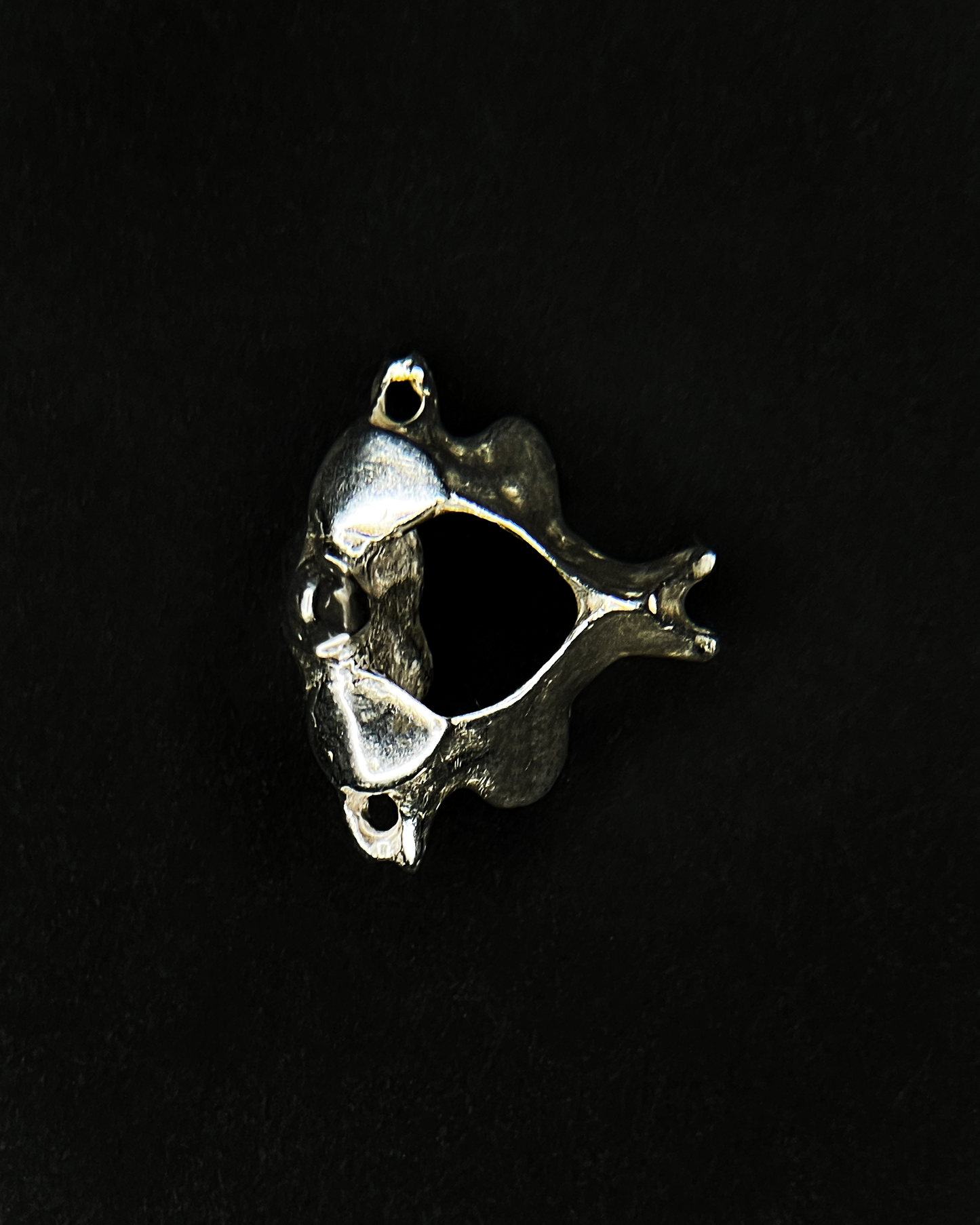 C1 and C2 Earrings