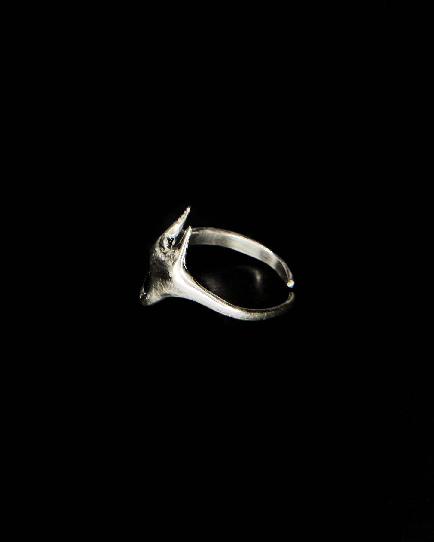 Ring y