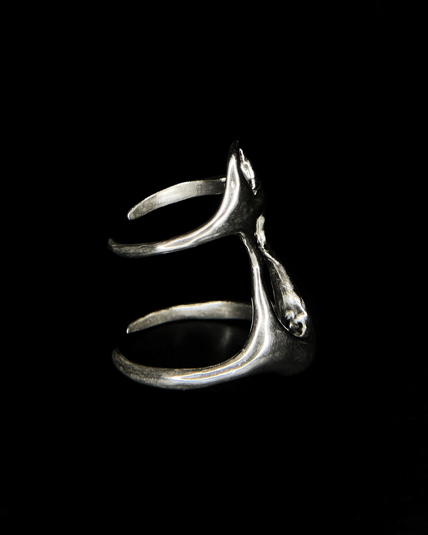 Ring xy