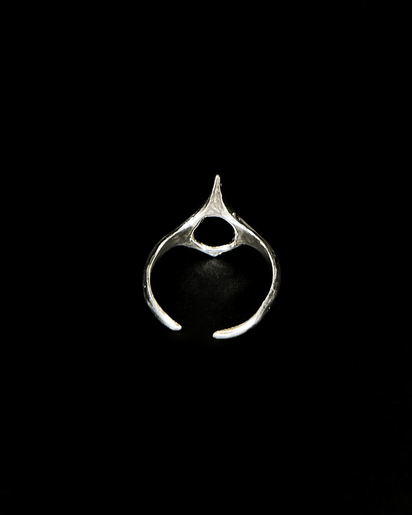 Ring z