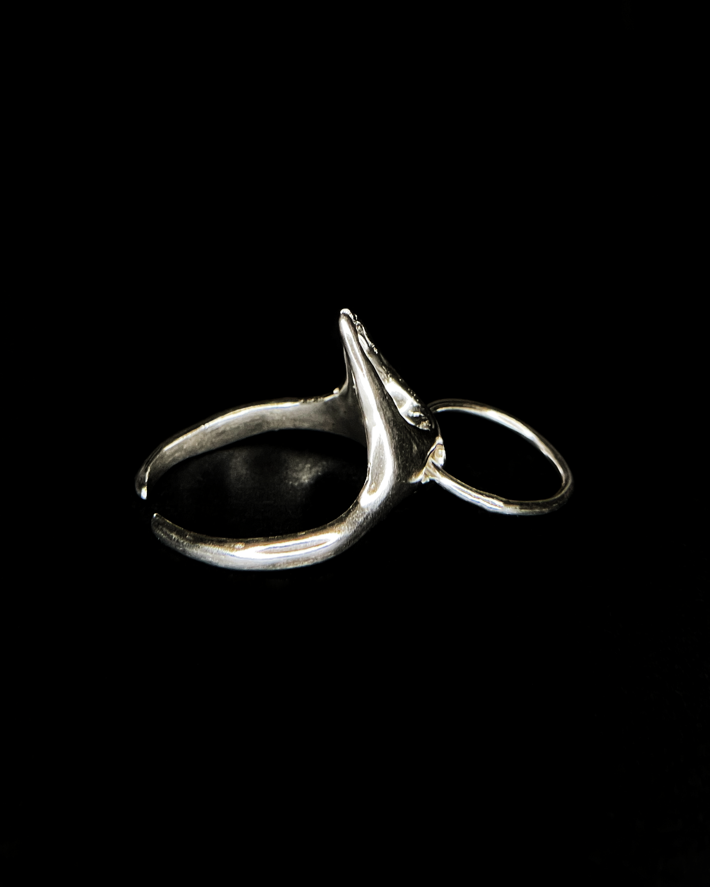 Ring x *hoop