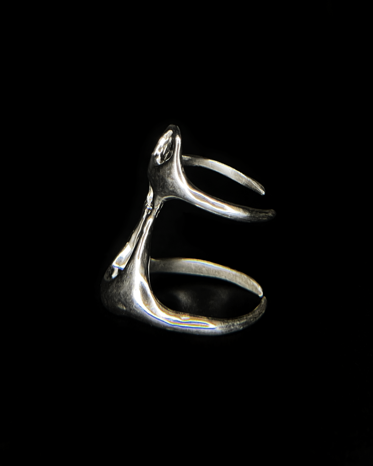 Ring xy
