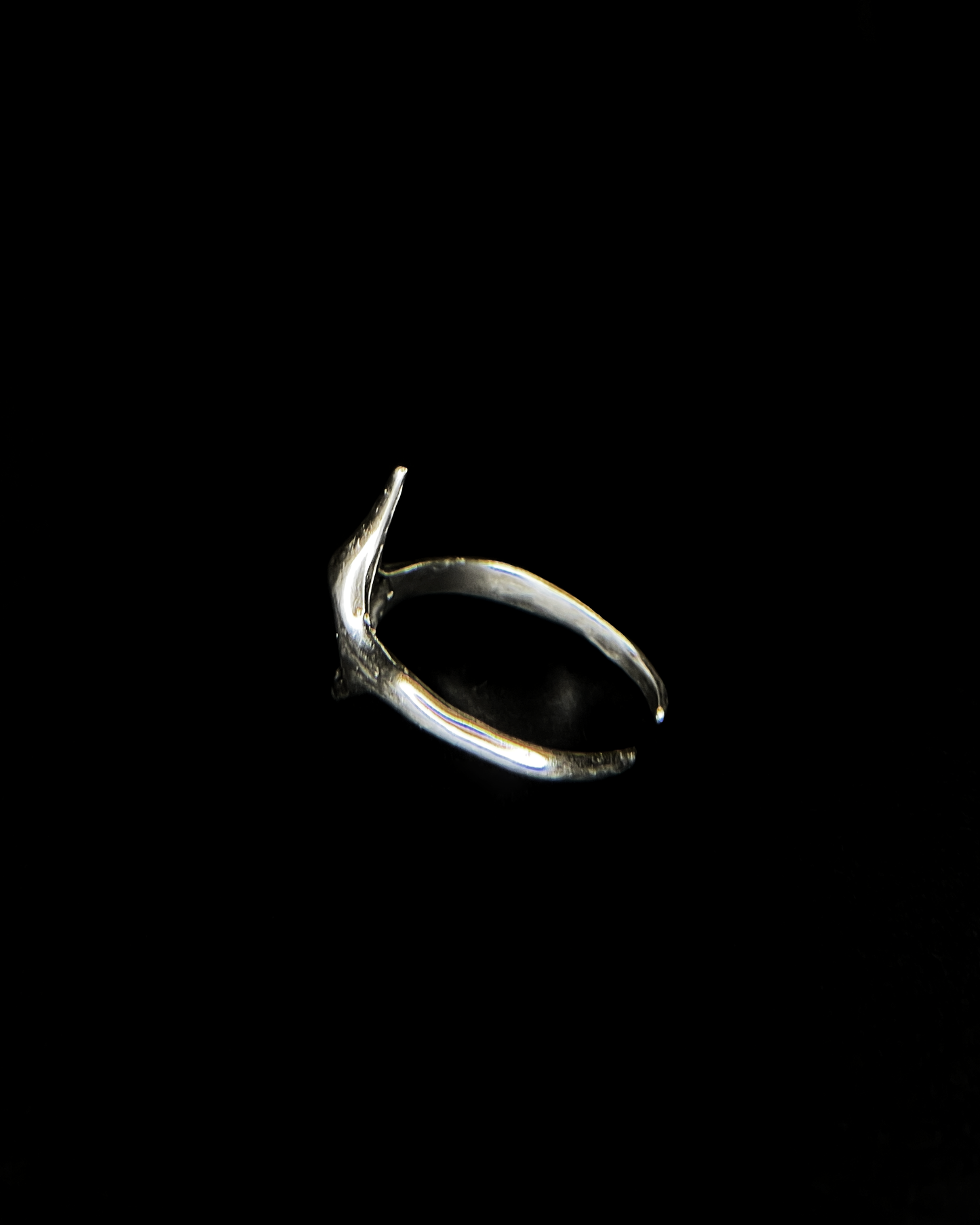 Ring z