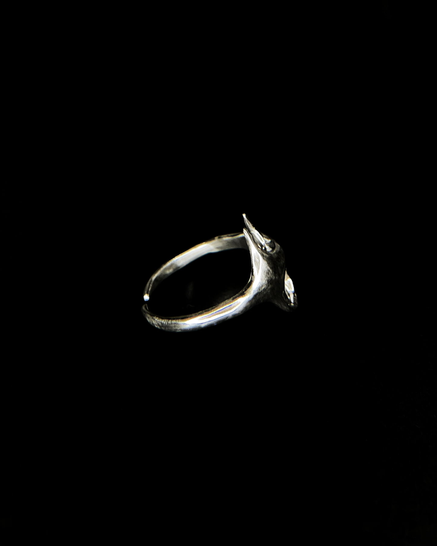 Ring y