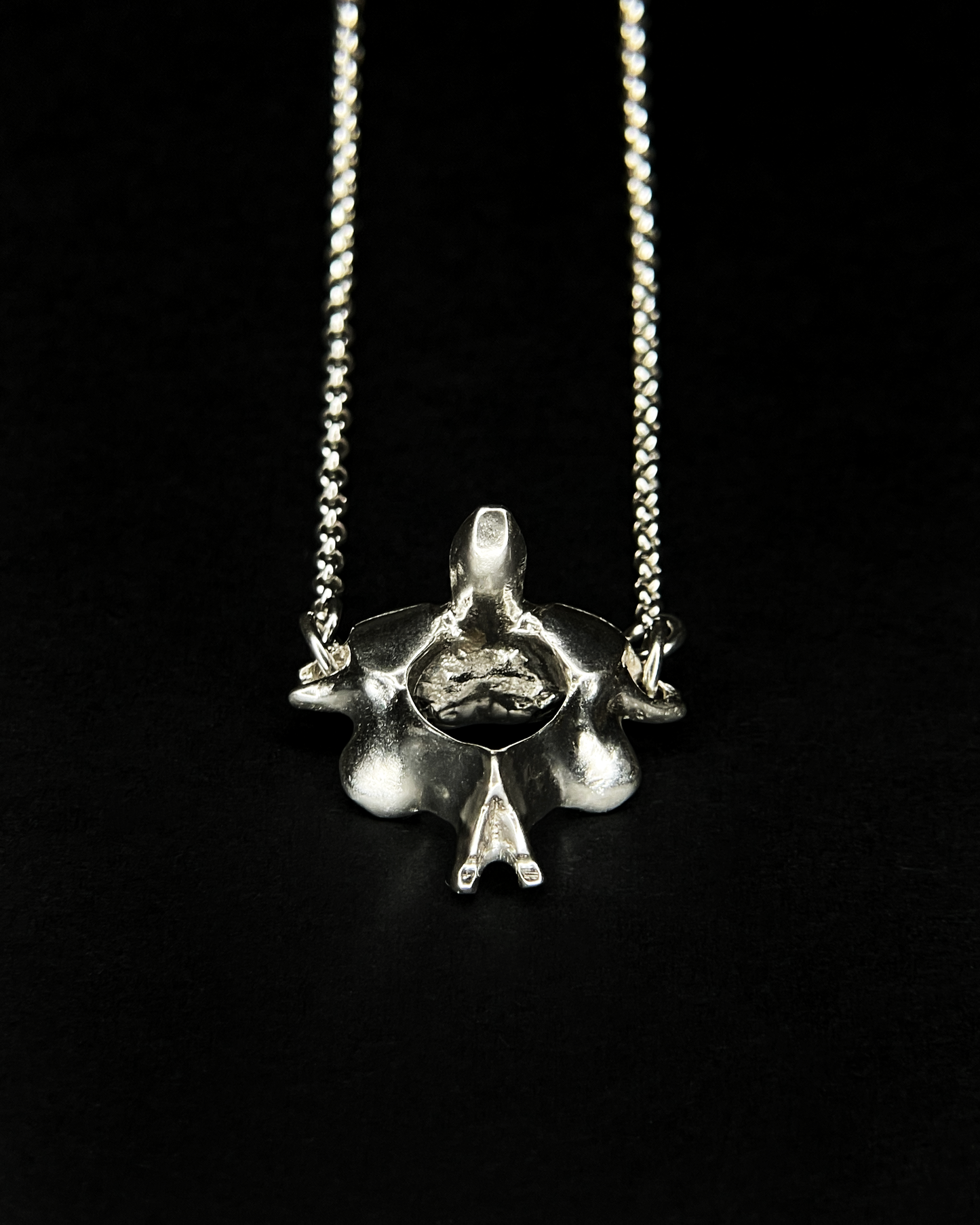 C1 and C2 Necklace