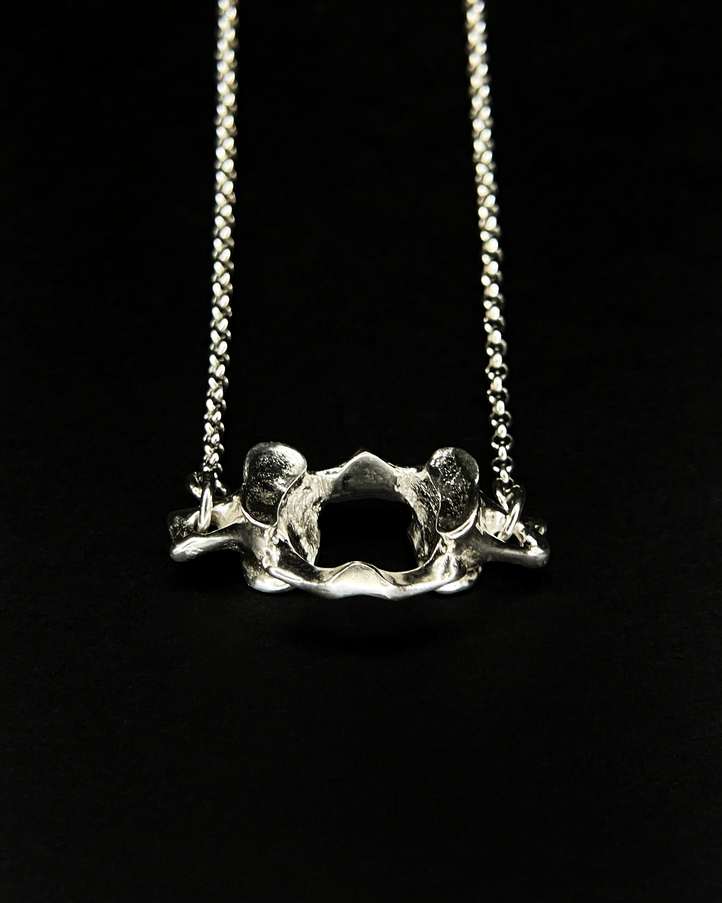C1 and C2 Necklace