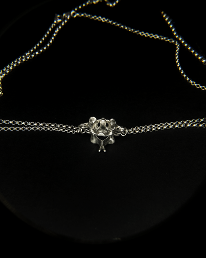 C1 and C2 Necklace