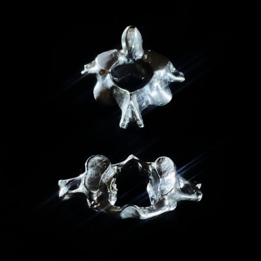 C1 and C2 Earrings