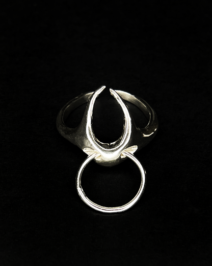 Ring x *hoop