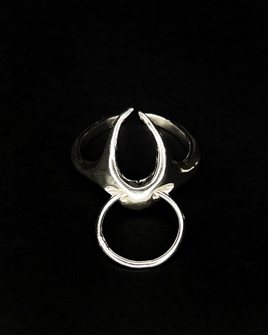Ring x *hoop