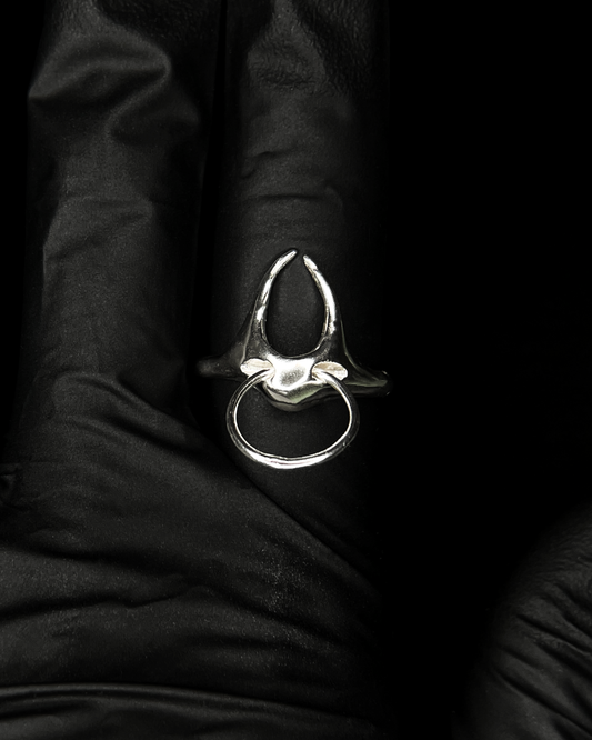 Ring x *hoop