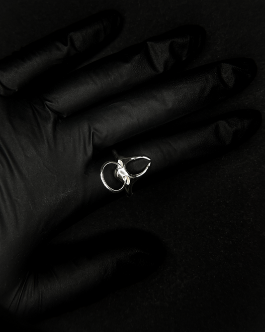 Ring x *hoop