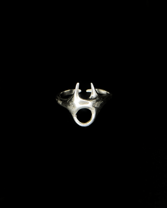 Ring y