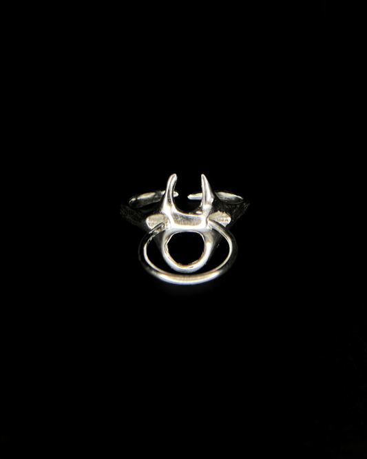 Ring y *hoop