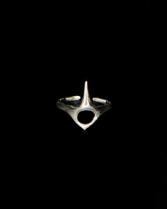 Ring z