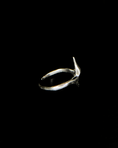 Ring z