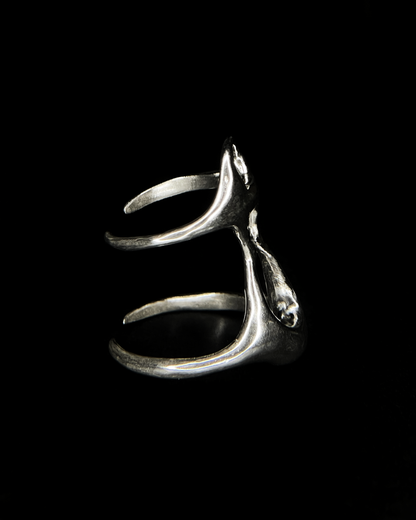 Ring xy