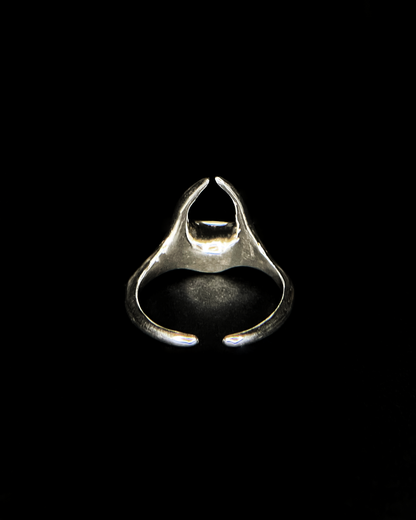 Ring x *hoop