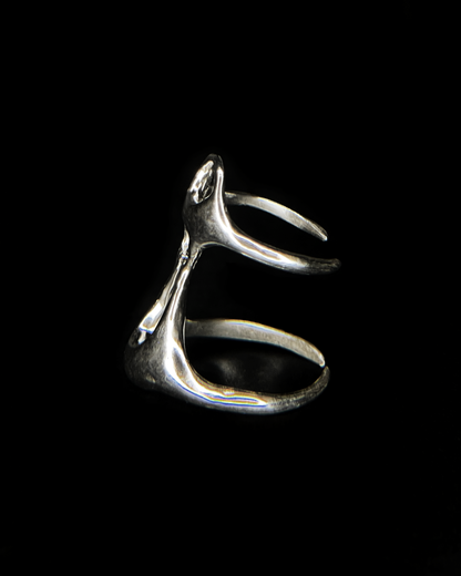 Ring xy