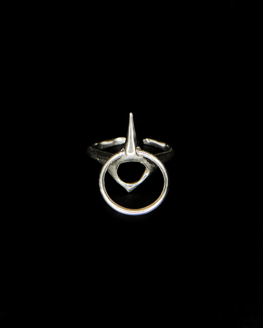 Ring z *hoop