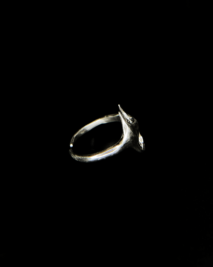 Ring y