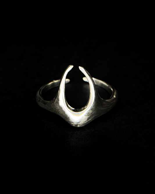 Ring x