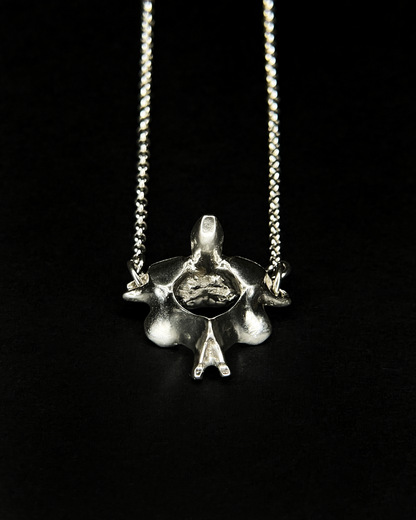 C1 and C2 Necklace
